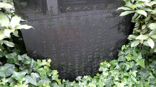 銀座と言えば柳です