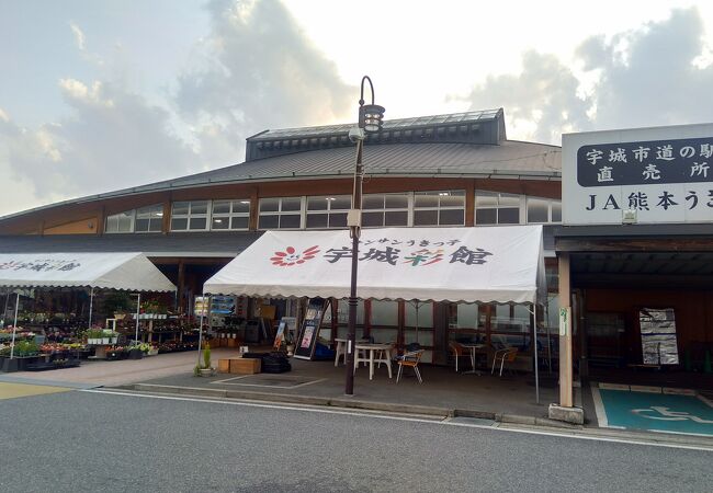 ふるさと納税 熊本県 宇城市 サンサンうきっ子 宇城彩館 グラントレモン 約10kg ふるさと納税先行予約 太秋柿 約2kg 5〜6玉 2025年10月上旬