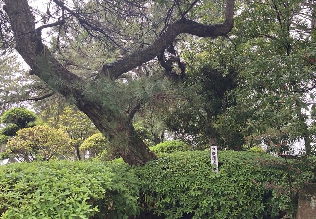 扇ヶ浜のついでに見ましたが