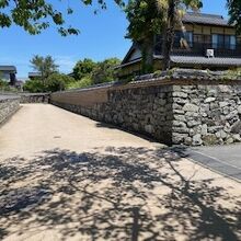 鍵状に曲がっています。