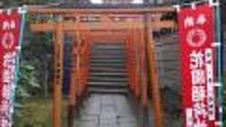 赤い鳥居がたくさん並んでいます