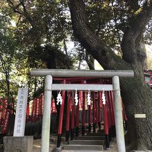 北区王子稲荷神社より勧請