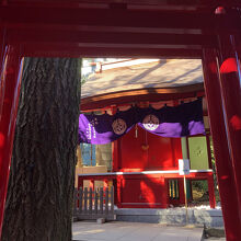 鳥居の向こうに色鮮やかな社殿