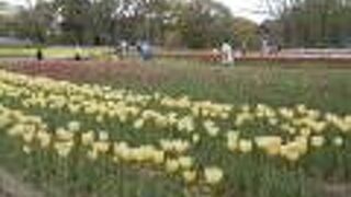 とにかく広くて見ごたえのある公園です。