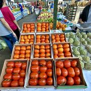 セアーザと呼ばれる野菜・果物・穀物市場。観光客が目指すのはここじゃない、別の場所、セントロへ向かえ！（CEASA／ピニェイロス地区／サンパウロ）
