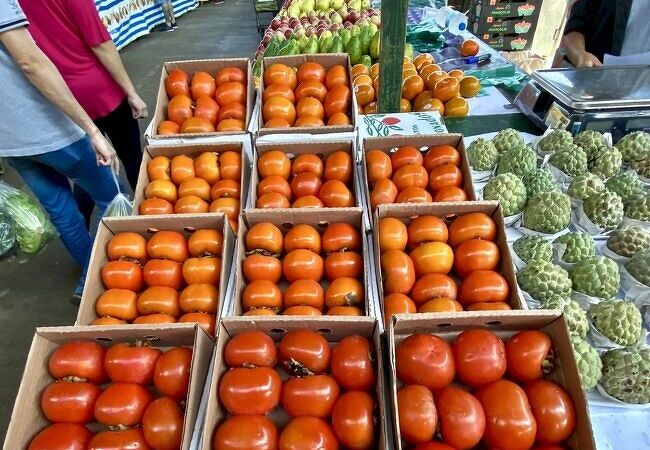 セアーザと呼ばれる野菜・果物・穀物市場。観光客が目指すのはここじゃない、別の場所、セントロへ向かえ！（CEASA／ピニェイロス地区／サンパウロ）
