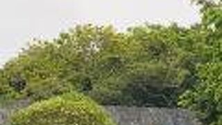 首里城公園の　木曳門