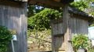 月窓茶のおもてなしがありました