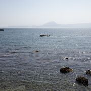 春らしい穏やかな風景を楽しめました （日出城址 城下公園） 