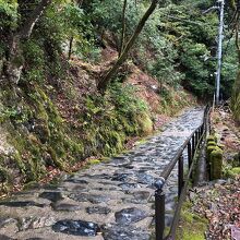 参道の緩い石段！