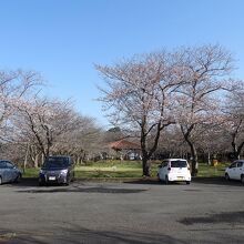 権現山公園の風景