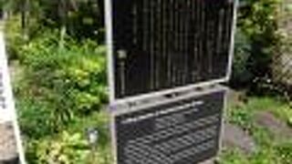 成子天神社内　力石