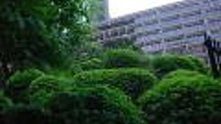 成子天神社内　富士塚