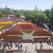 砺波チューリップ公園