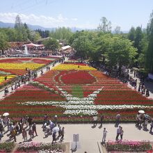 展望台上からの光景です。晴れててとてもよい眺めでした。