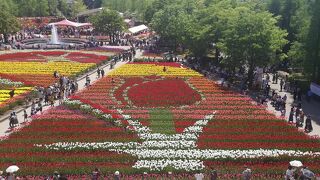 砺波チューリップ公園