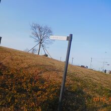 駐車場入り口。これを見逃さないように。