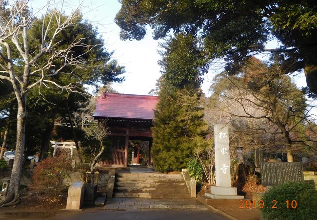 境内には松虫姫神社もあります