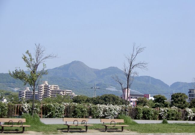 峰塚公園 クチコミ アクセス 営業時間 富田林 羽曳野 フォートラベル