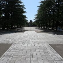 公園のメインと思われる通路を進むと…