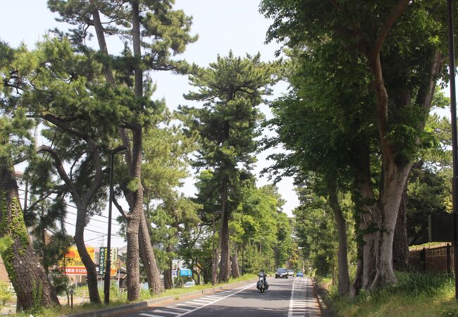 付近には明治の元勲たちの別荘があります