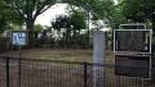 桜の時期にも訪れてみたい