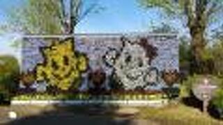 季節の花々を楽しめる。温室もあり。