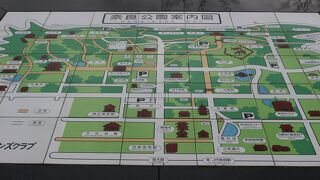 奈良中心部、東大寺、興福寺などを含む一帯。野生のシカがいます