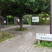 水辺の自然を観察できる公園