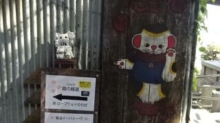 本物の猫ちゃんには一度も会えずがっかり