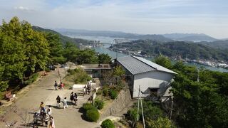 猫ちゃんのモチーフで一杯なれど、本物に遭えず残念