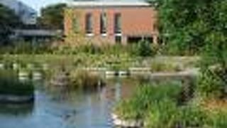 久留米市美術館