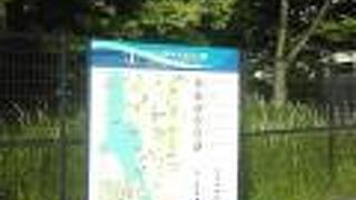 ジョギングの人が多かった