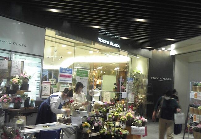 東急プラザ 蒲田 クチコミ アクセス 営業時間 蒲田 フォートラベル 東急プラザ 蒲田 クチコミ アクセス 営業時間 蒲田 フォートラベル
