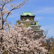 桜と天守閣の饗宴