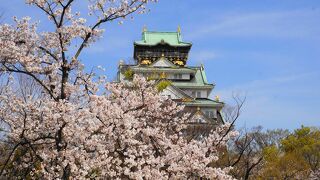 桜と天守閣の饗宴