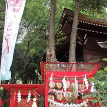 太子堂八幡神社の相生の榊