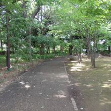 三宿の森緑地公園