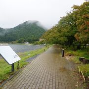 河口湖美術館から長崎公園まで