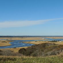 霧多布湿原の様子