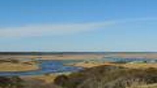 道東の厚岸町にある湿原