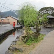 萩市街地の東側を流れる川