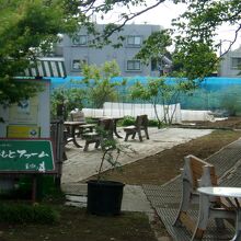 ブルーベリー狩には、ちと早かった。