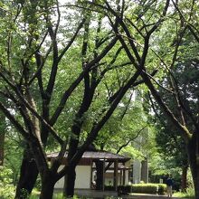 隣にあるトイレです。ピクニック・テーブルもいくつかあります