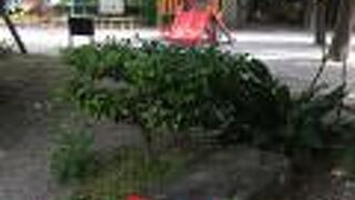 木々と子供の遊び場