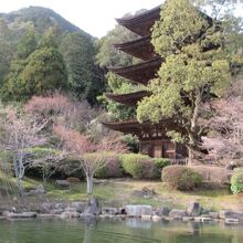 池と塔