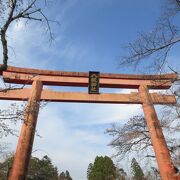 赤い鳥居の