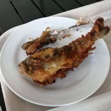 釣り体験をして、釣った魚は唐揚げにしてくれます！