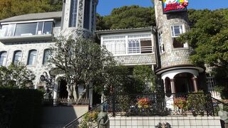 うろこのような外観