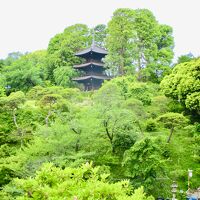 広々とした庭園内